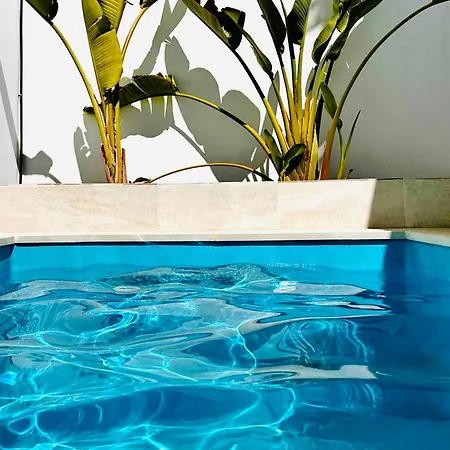 Margarita Ocean View And Private Heated Pool 빌라 *