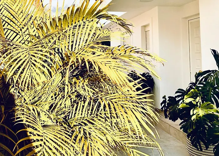 Margarita Ocean View And Private Heated Pool *